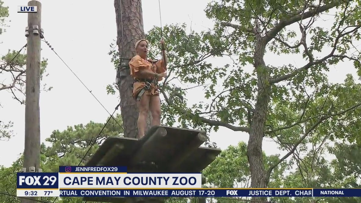Jenn goes zip lining at Cape May County Zoo